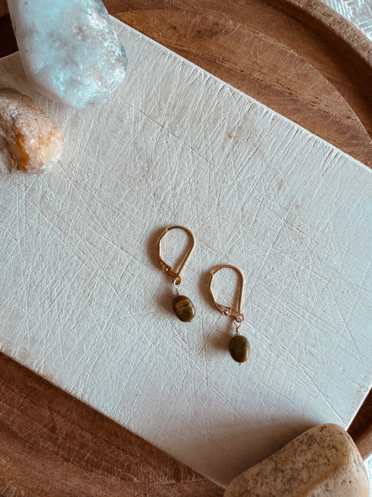 Ocean Jasper Earrings – 14k Gold Filled Lever Back Gemstone Jewelry
